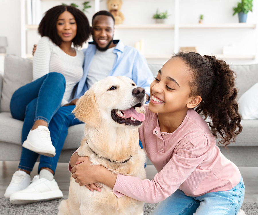 Adoption Image