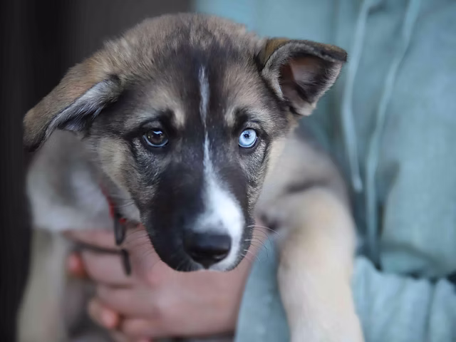 Rehoming Image