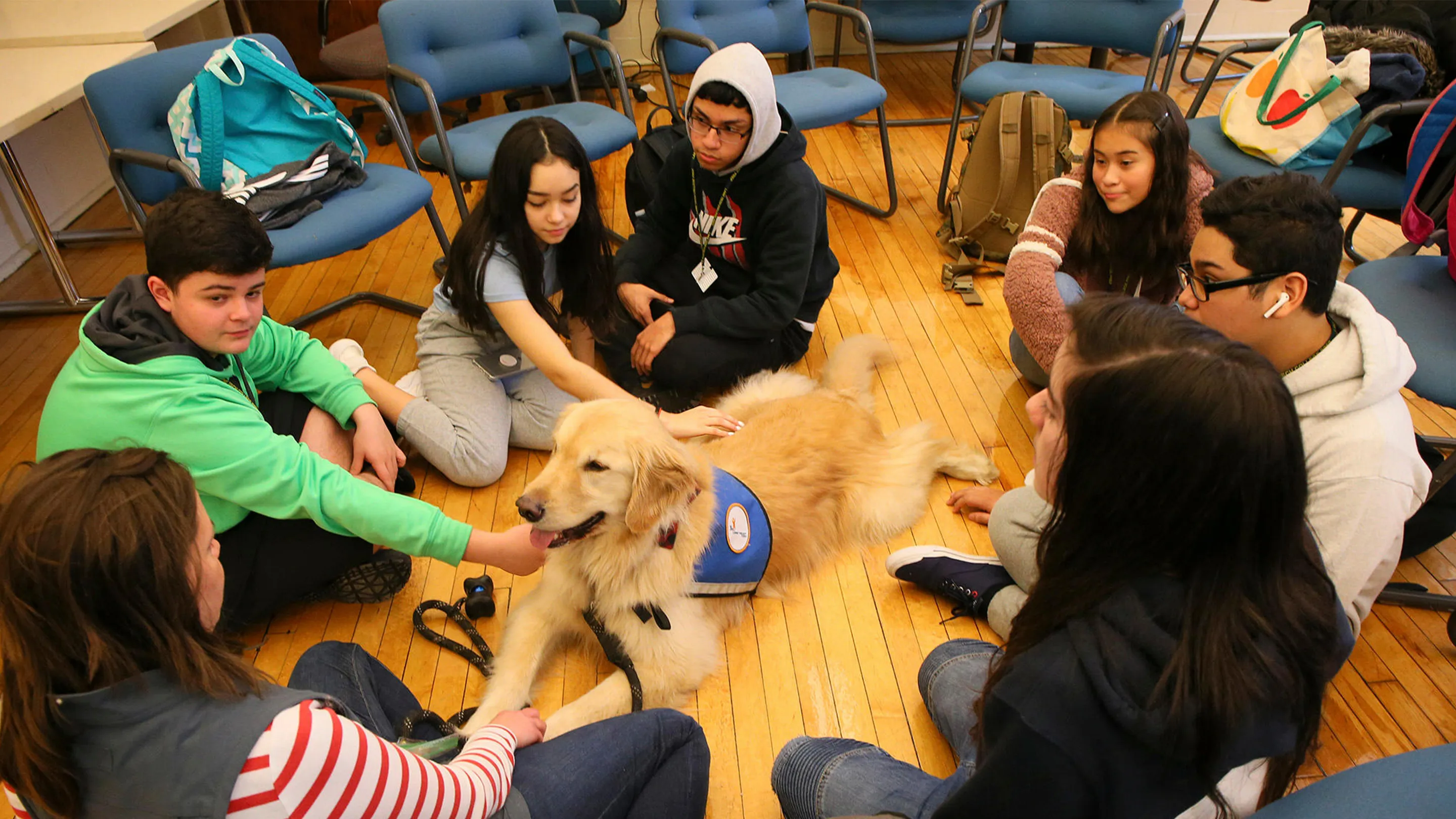 group of school aged volunteers pictured with dogs